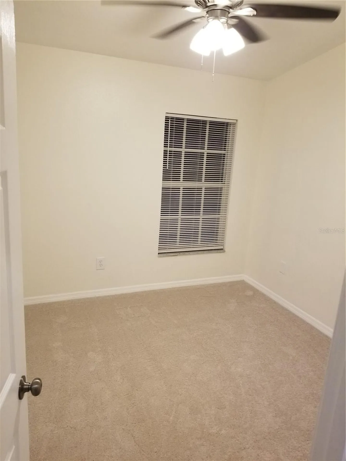 6116 Olivedale Drive Riverview FL 33578
