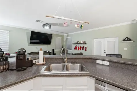 1740 Bonita Bluff Court Ruskin FL 33570