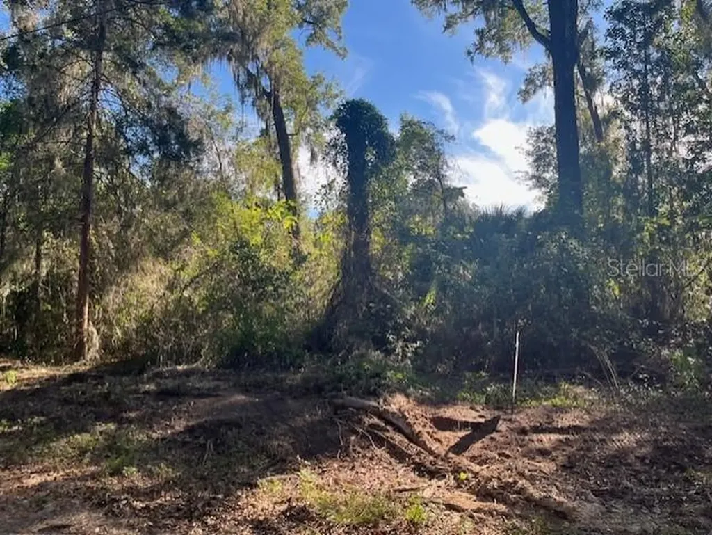 Tbd NW 160th Street Reddick FL 32686