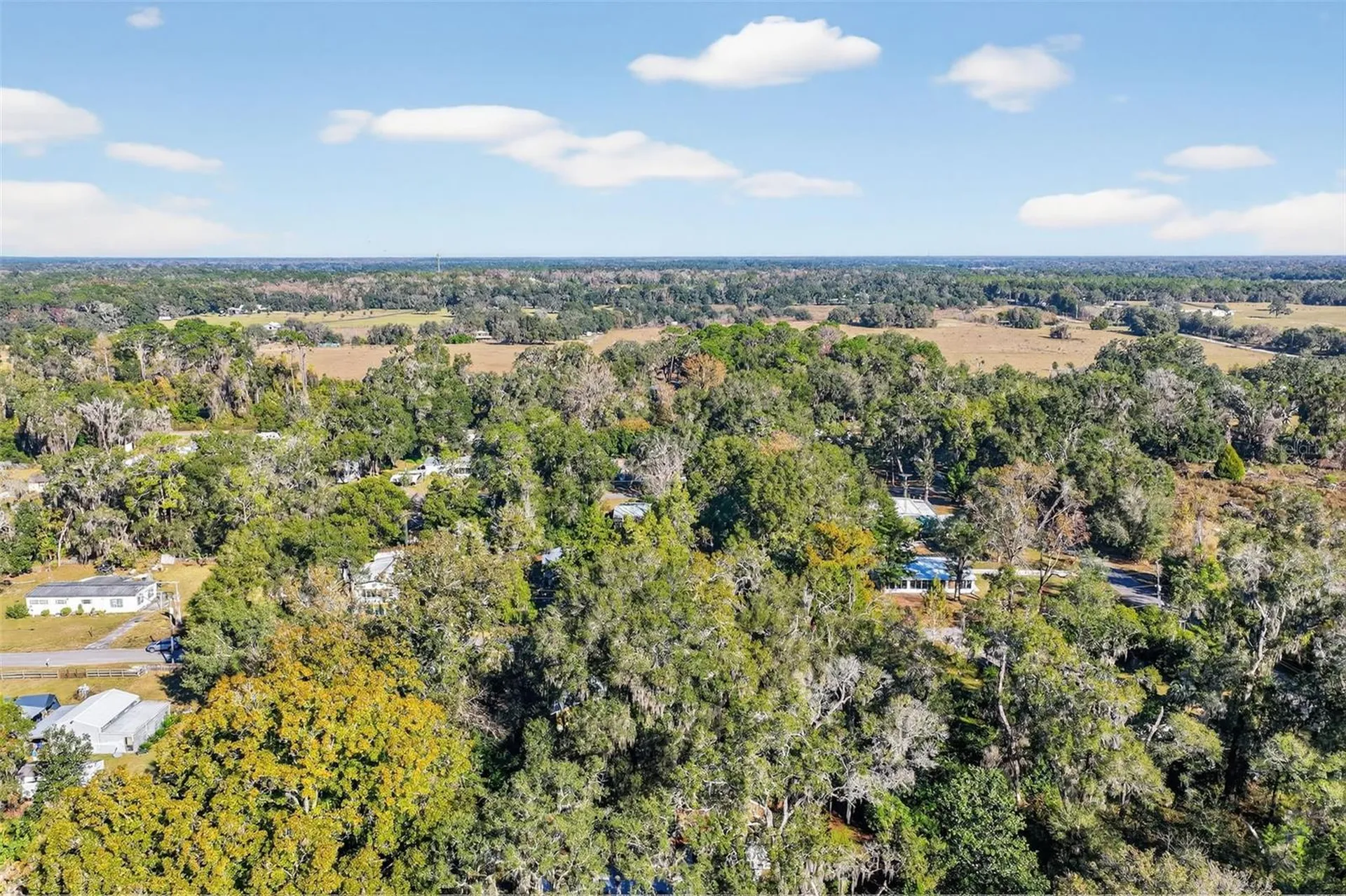 8481 Cr 636 Bushnell FL 33513