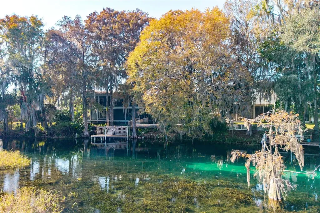 11685 E Blue Cove Drive Dunnellon FL 34432