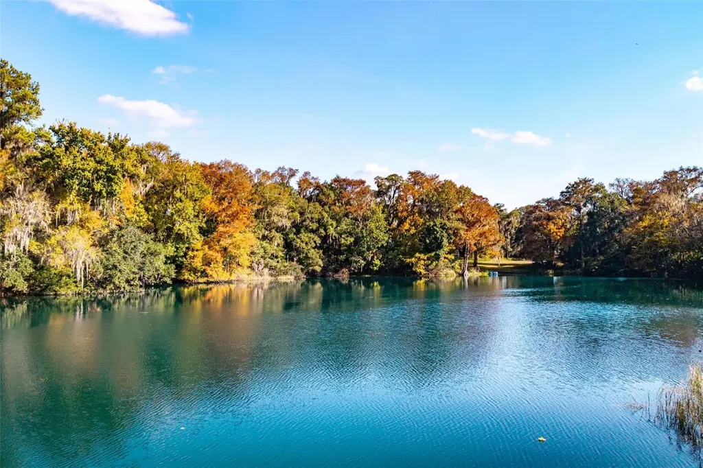 11685 E Blue Cove Drive Dunnellon FL 34432