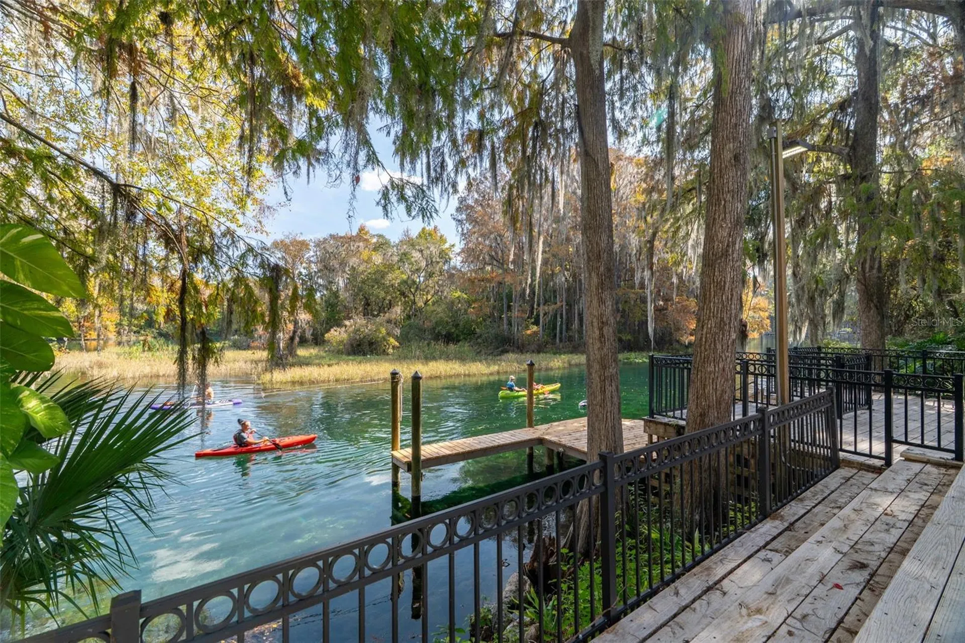 11685 E Blue Cove Drive Dunnellon FL 34432