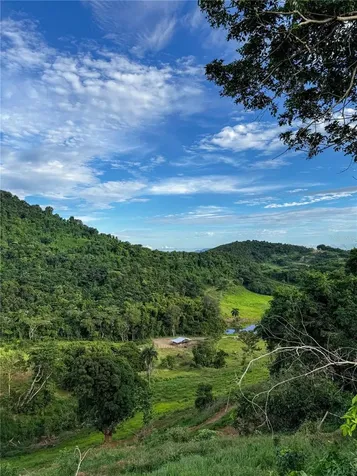 Carr 972 Mariana Naguabo PR 00718