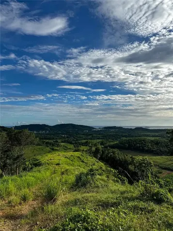 Carr 972 Mariana Naguabo PR 00718