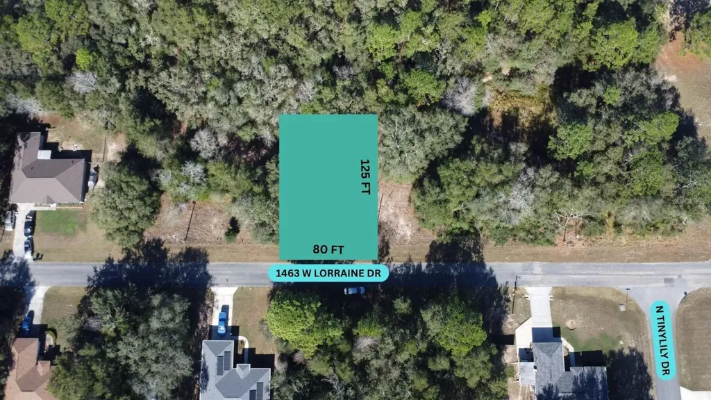 1463 W Lorraine Drive Citrus Springs FL 34434