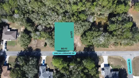 1463 W Lorraine Drive Citrus Springs FL 34434