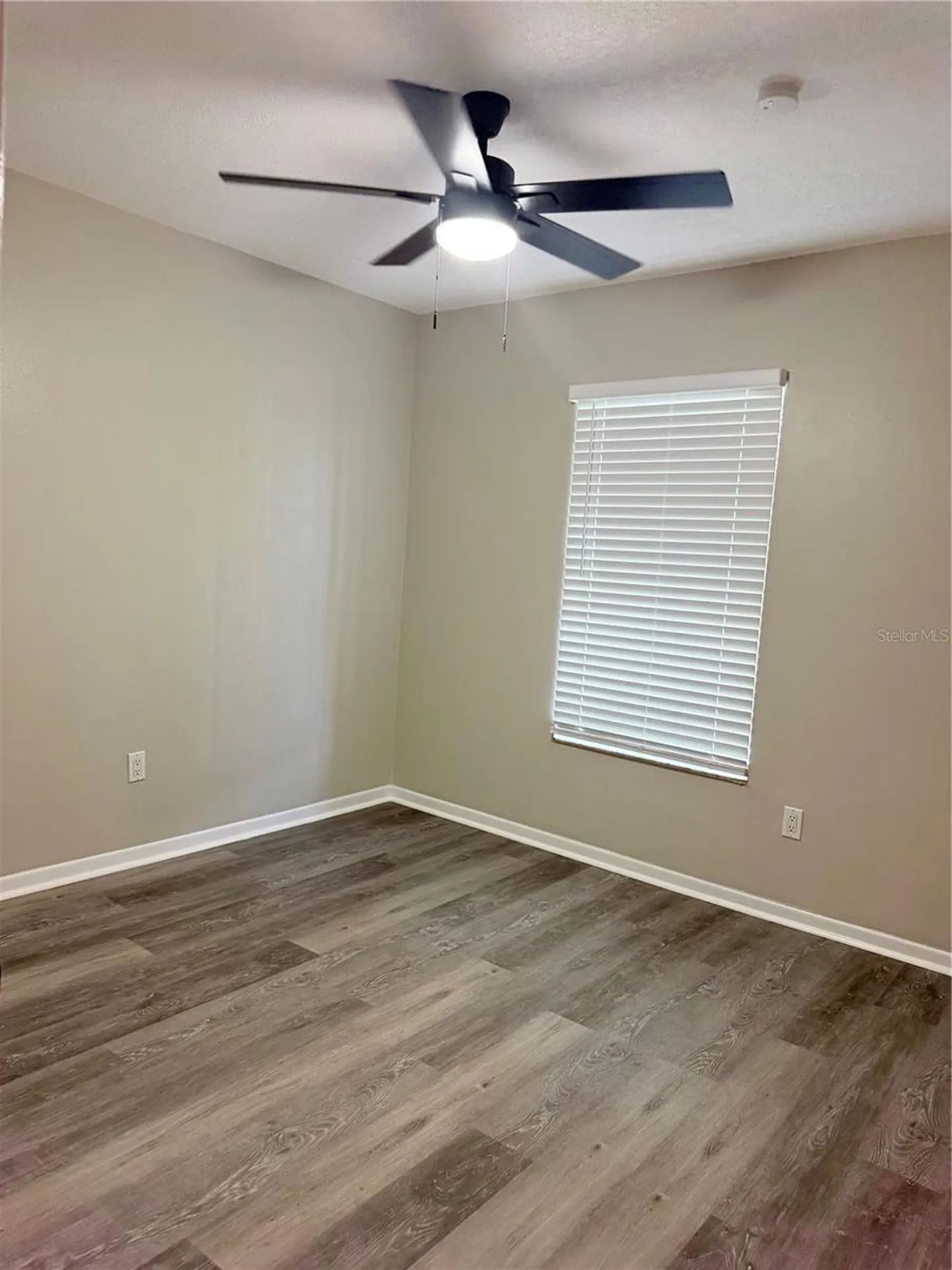 5207 Blane Drive Temple Terrace FL 33617