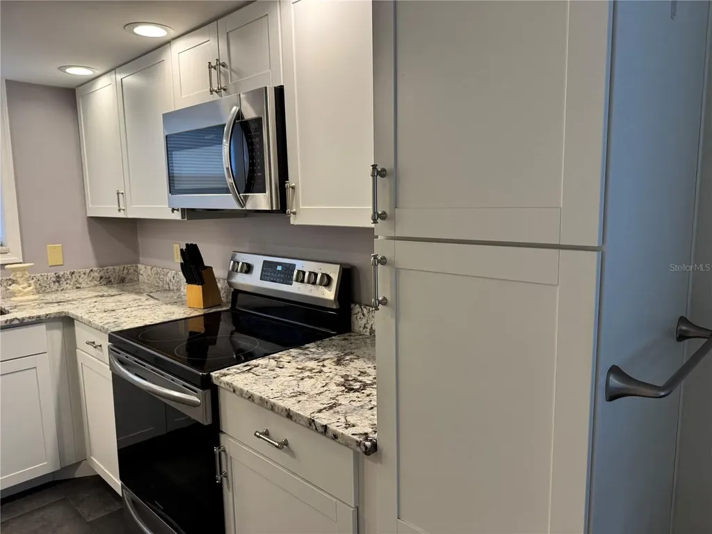 2210 Vista Del Sol Circle Lutz FL 33558