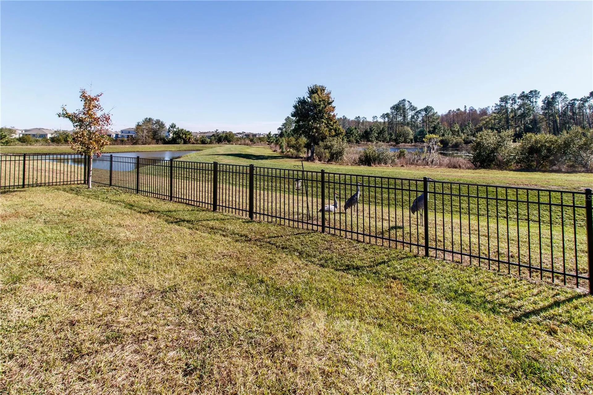 7629 Broad River Avenue Land O Lakes FL 34638
