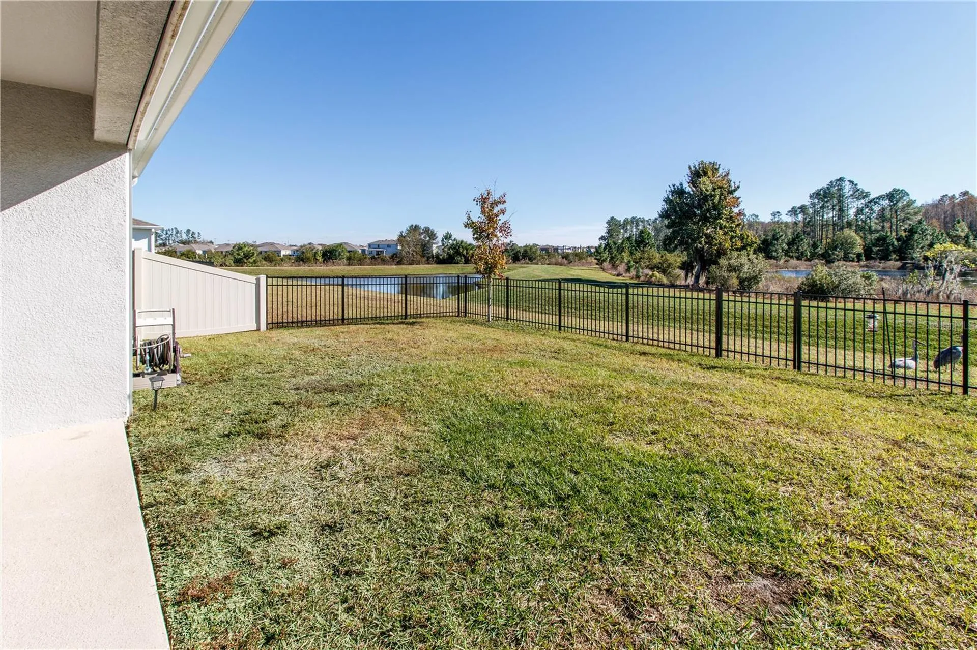 7629 Broad River Avenue Land O Lakes FL 34638
