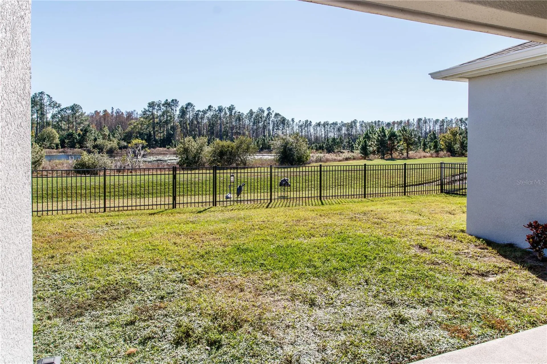 7629 Broad River Avenue Land O Lakes FL 34638