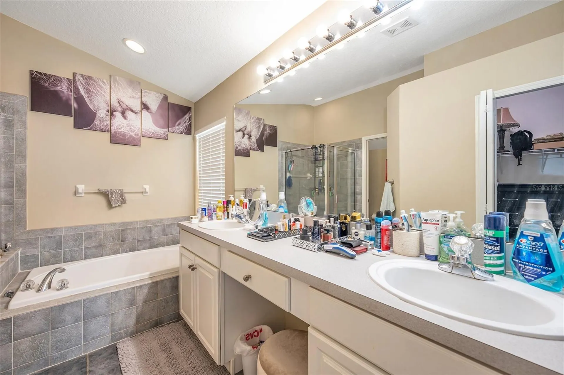12308 Adventure Drive Riverview FL 33579