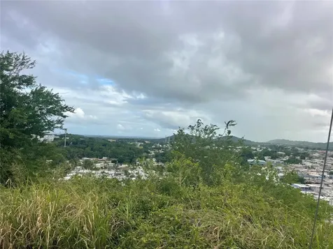 COND.180 Carretera 194 Pr 180- Carr. Estatal No. 194 Estates Fajardo PR 00738