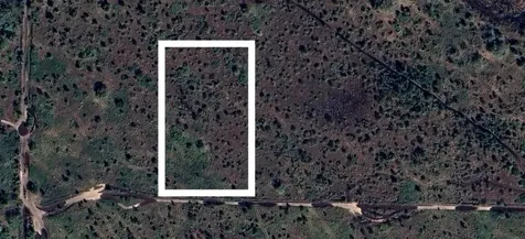 Wanrong Frostproof FL 33843