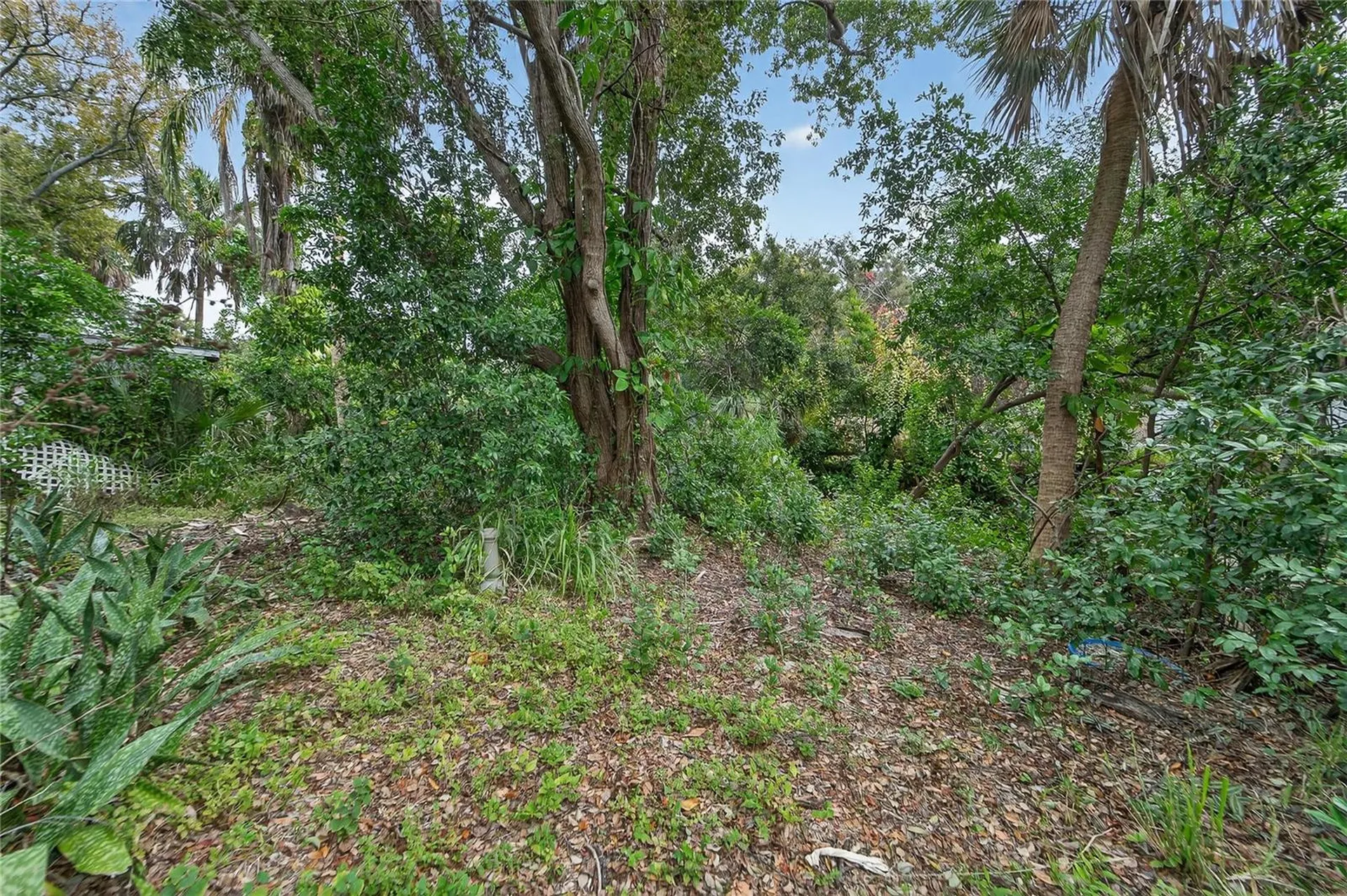 2605 Brae Burn Drive Largo FL 33770