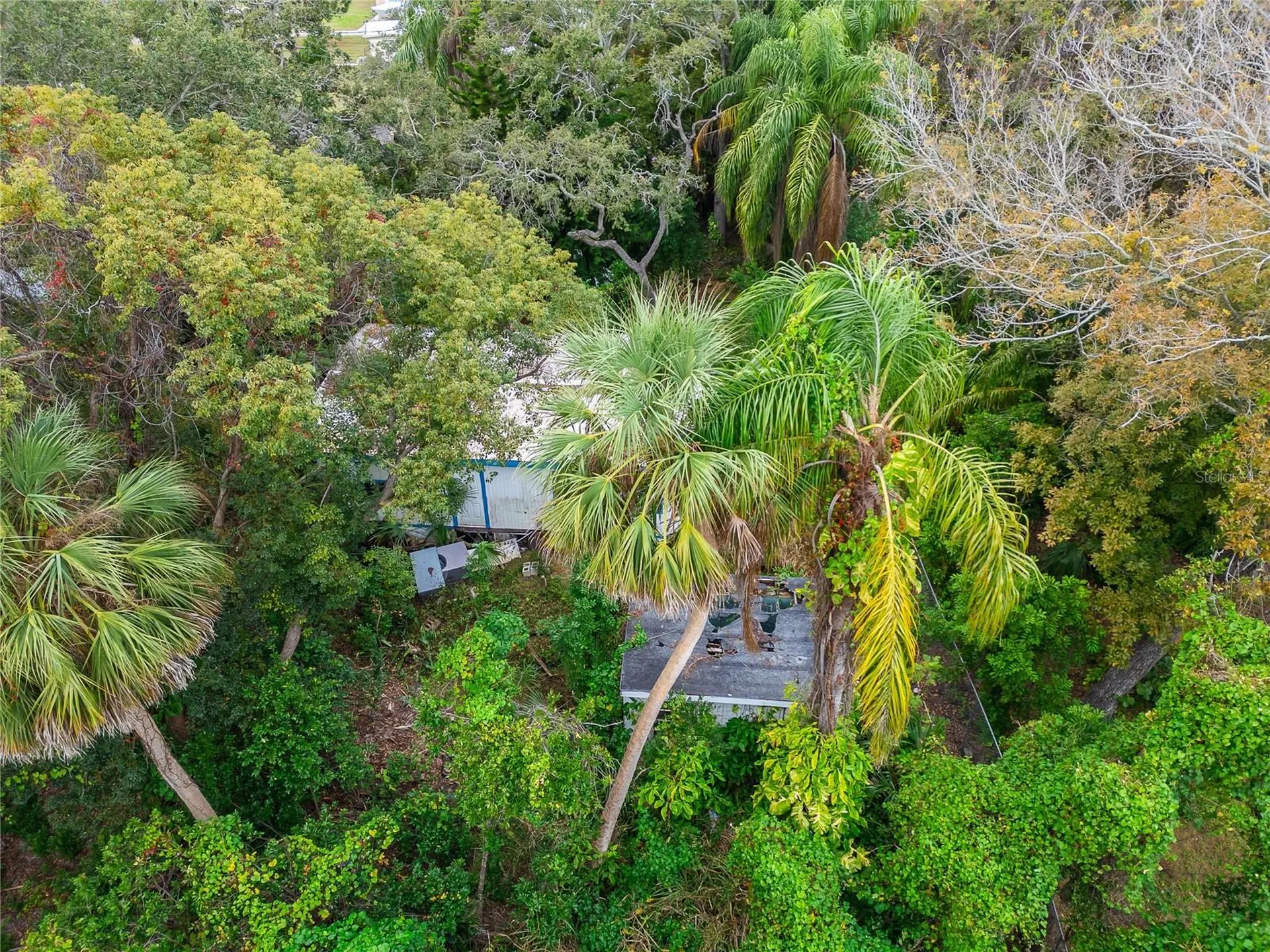2605 Brae Burn Drive Largo FL 33770