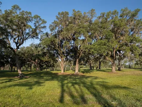 11771 NW 50th Lane Road Ocala FL 34482