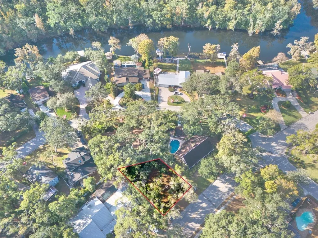 1113 N Riverhills Drive Temple Terrace FL 33617