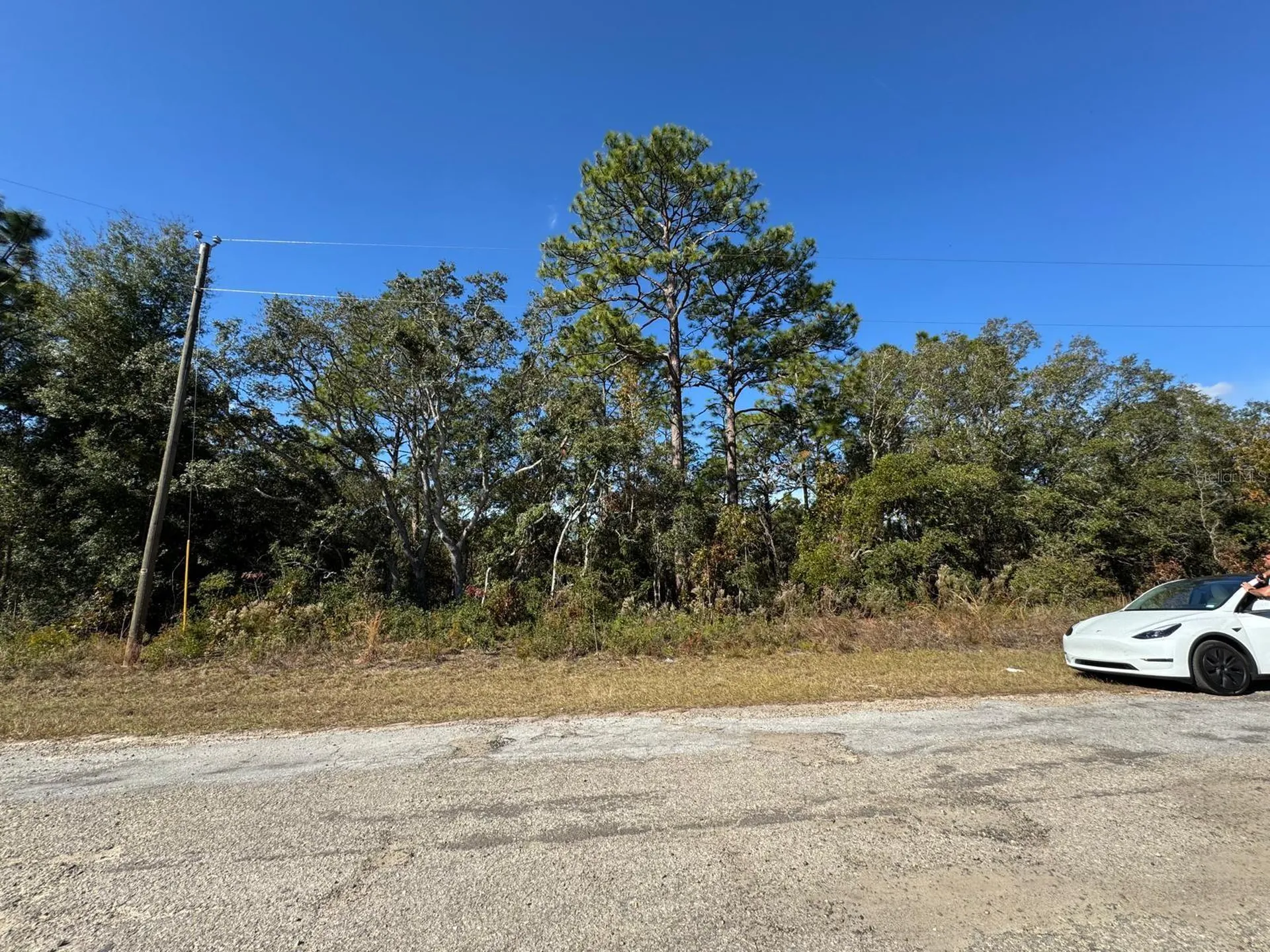 9066 N Burmany Way Citrus Springs FL 34433