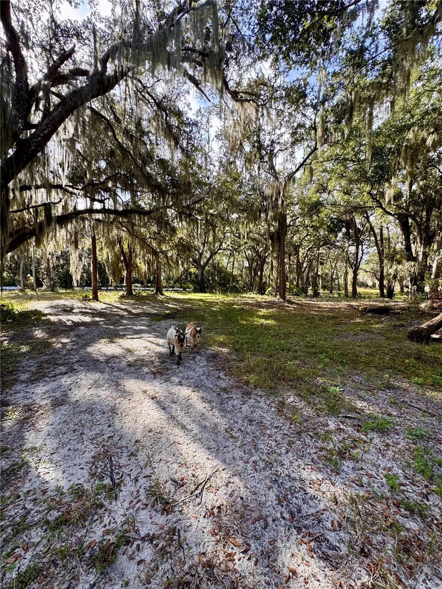0 Clinton Cemetery Road Edgewater FL 32141