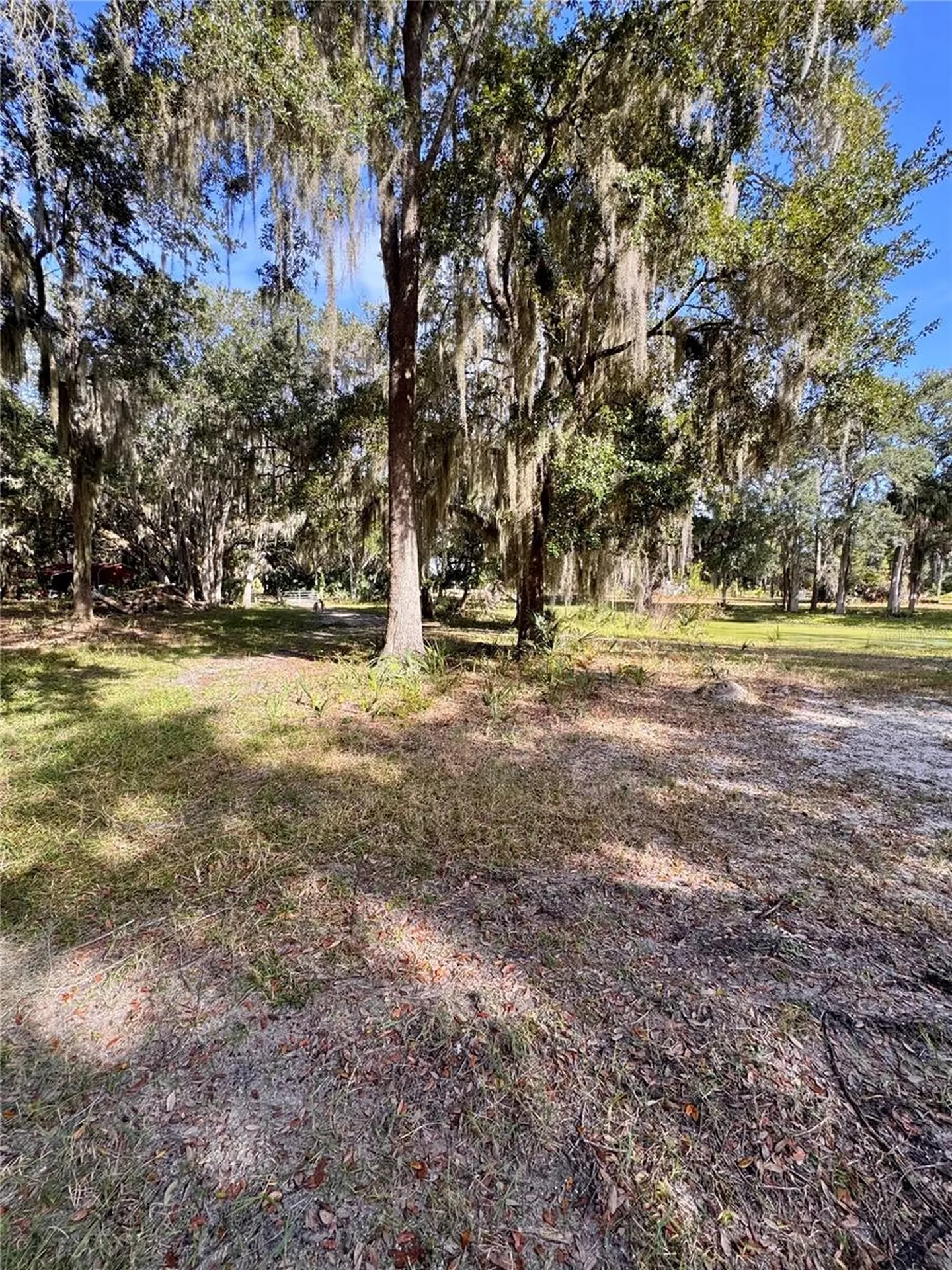 0 Clinton Cemetery Road Edgewater FL 32141