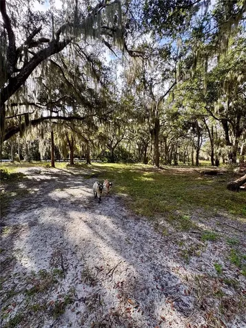 0 Clinton Cemetery Road Edgewater FL 32141