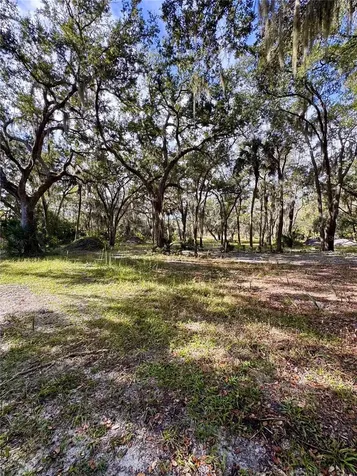0 Clinton Cemetery Road Edgewater FL 32141