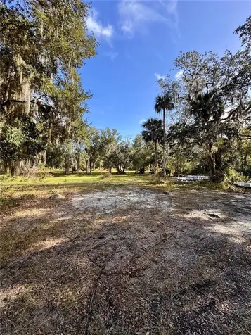 0 Clinton Cemetery Road Edgewater FL 32141
