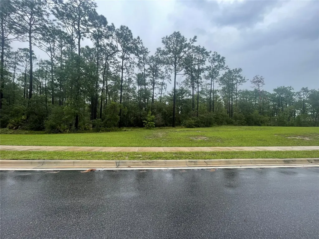 Virginia (paper) Avenue Deltona FL 32738