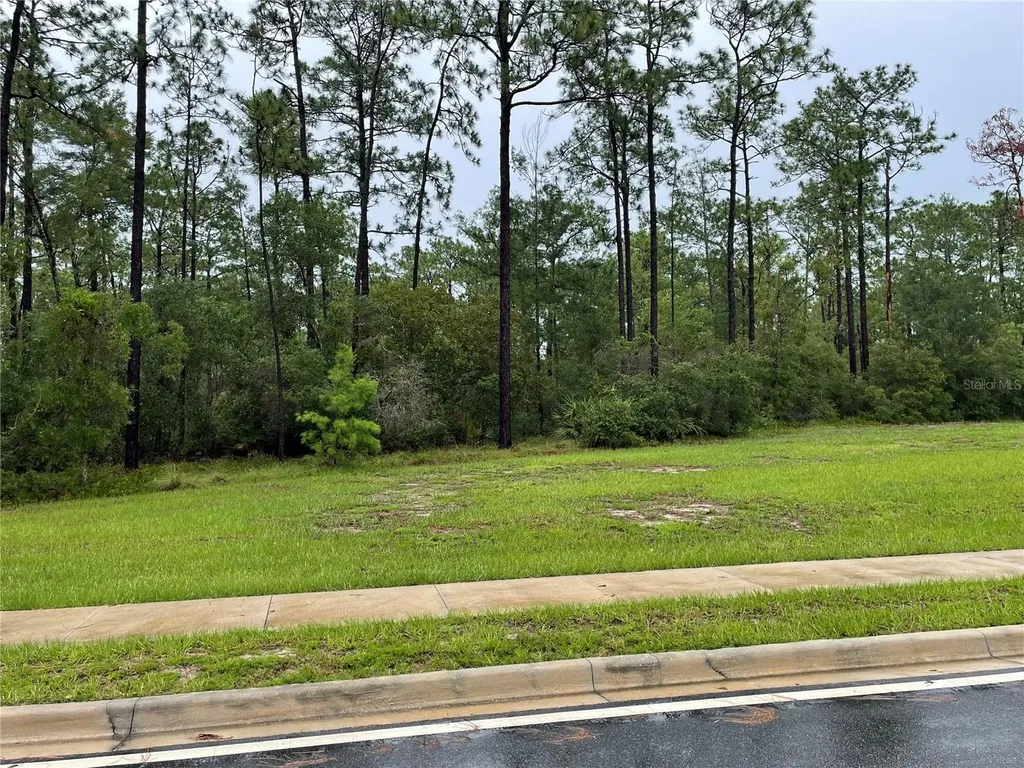 Virginia (paper) Avenue Deltona FL 32738