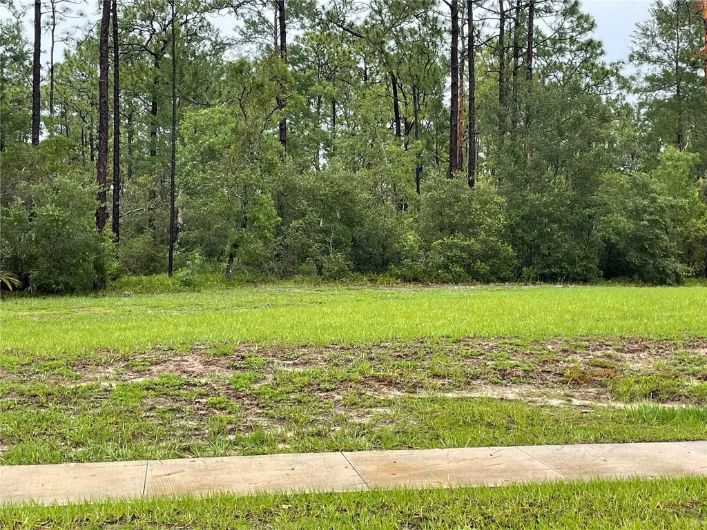 Virginia (paper) Avenue Deltona FL 32738