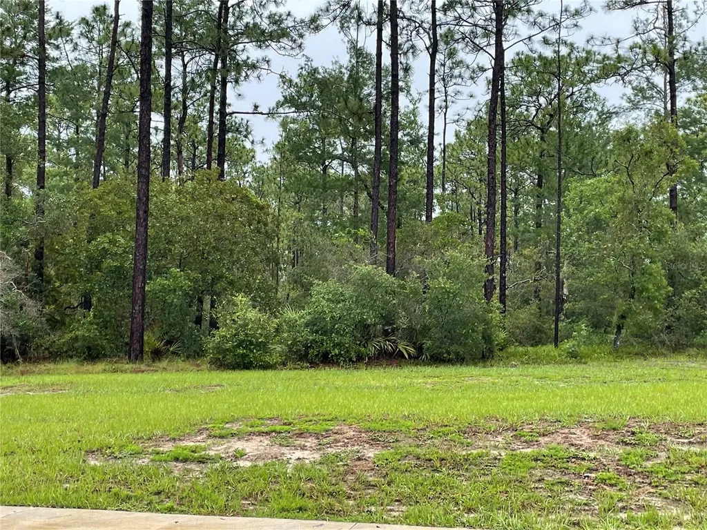 Virginia (paper) Avenue Deltona FL 32738