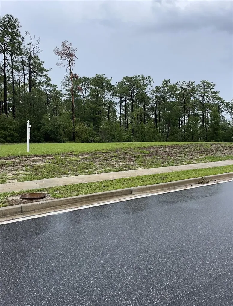 Virginia (paper) Avenue Deltona FL 32738