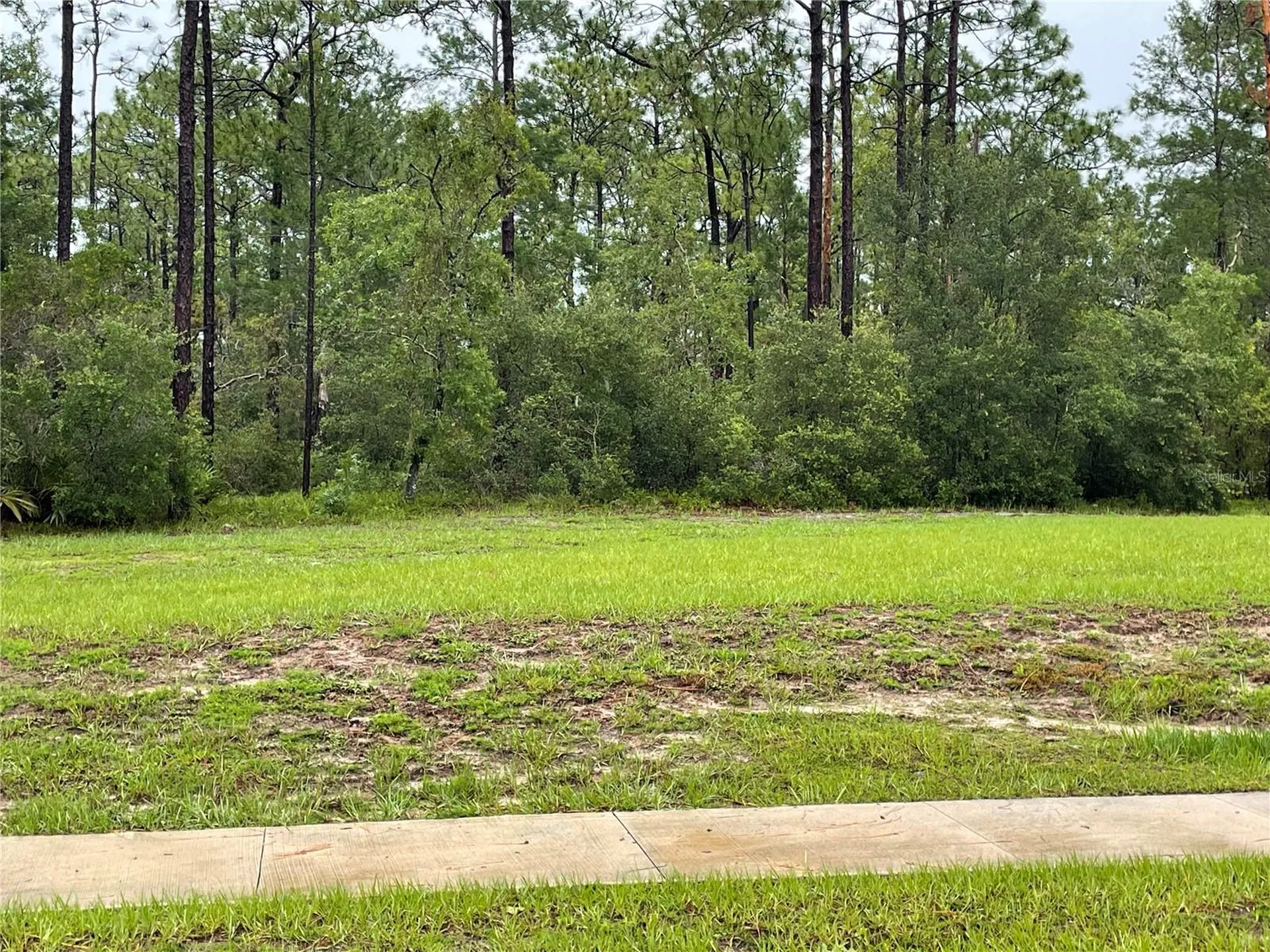 Virginia (paper) Avenue Deltona FL 32738