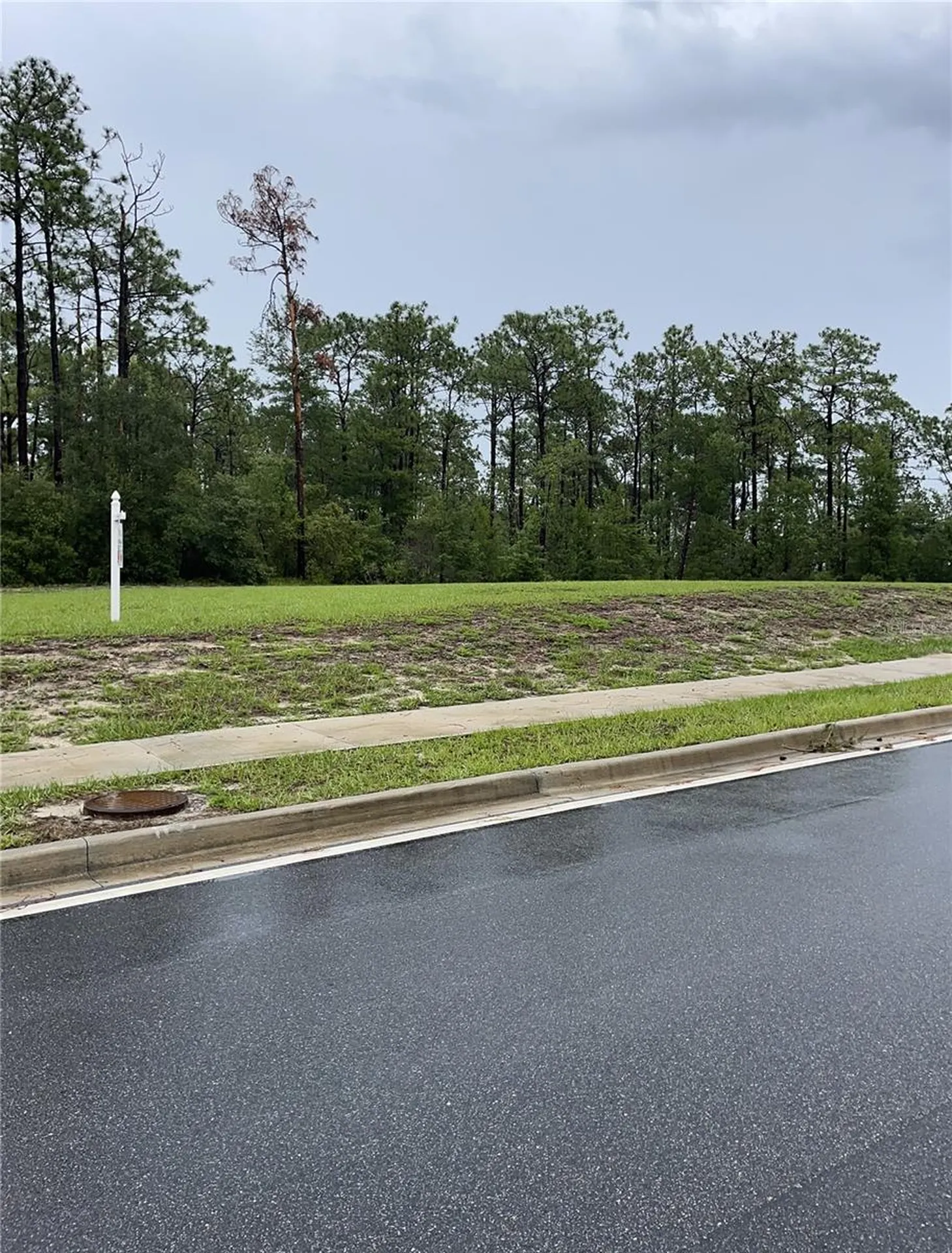 Virginia (paper) Avenue Deltona FL 32738