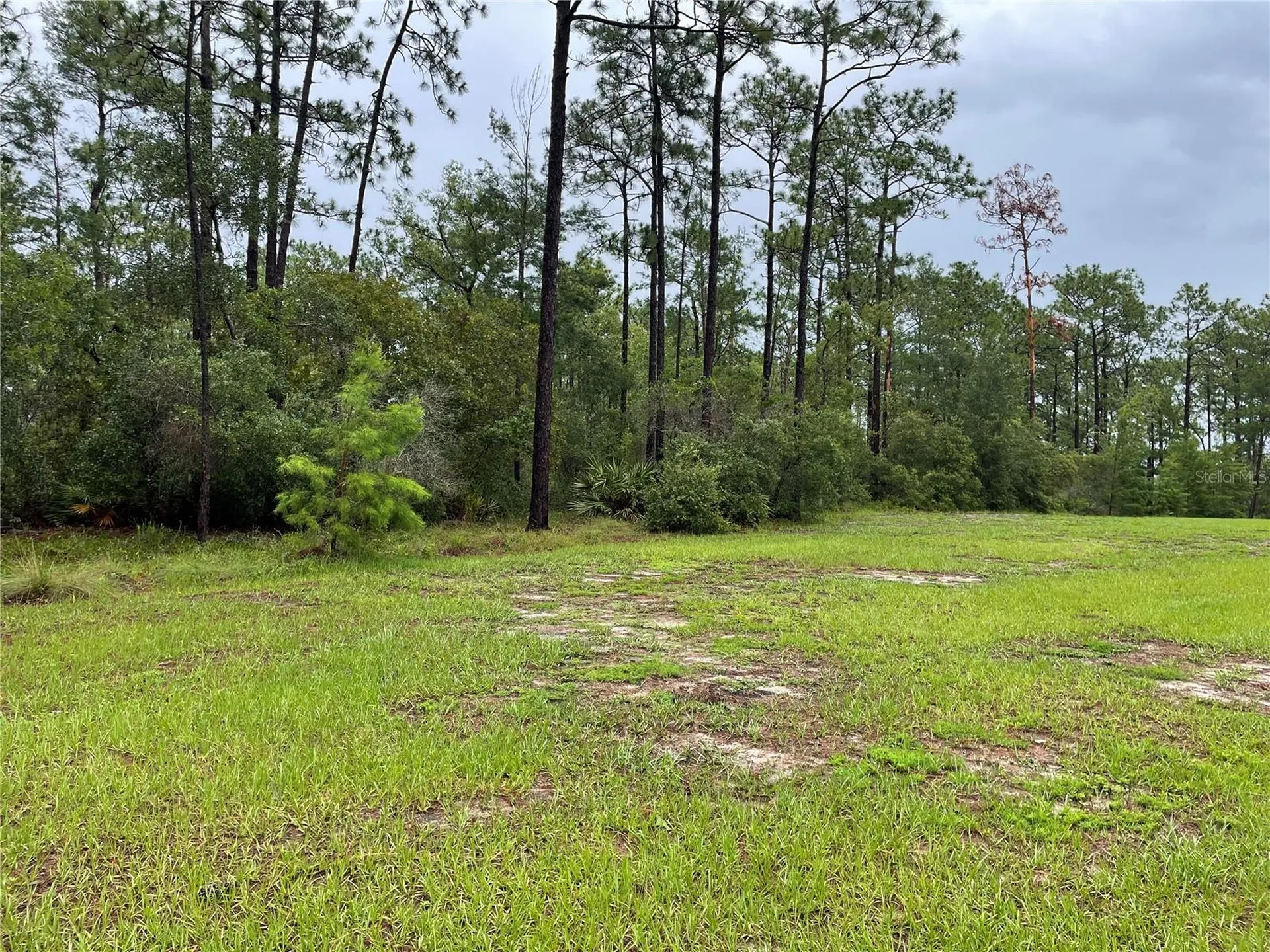Virginia (paper) Avenue Deltona FL 32738