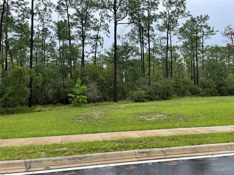 Virginia (paper) Avenue Deltona FL 32738