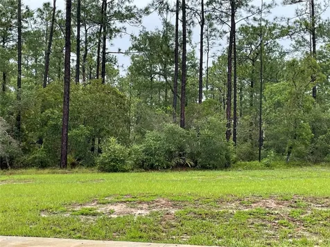 Virginia (paper) Avenue Deltona FL 32738