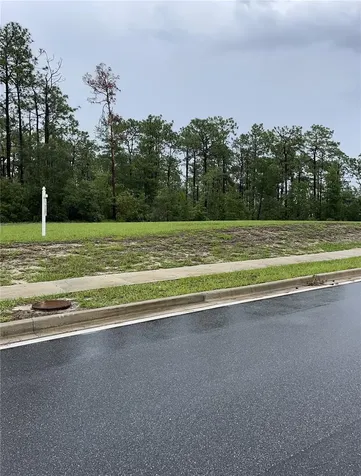 Virginia (paper) Avenue Deltona FL 32738