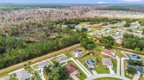 1463 Swan Court Poinciana FL 34759