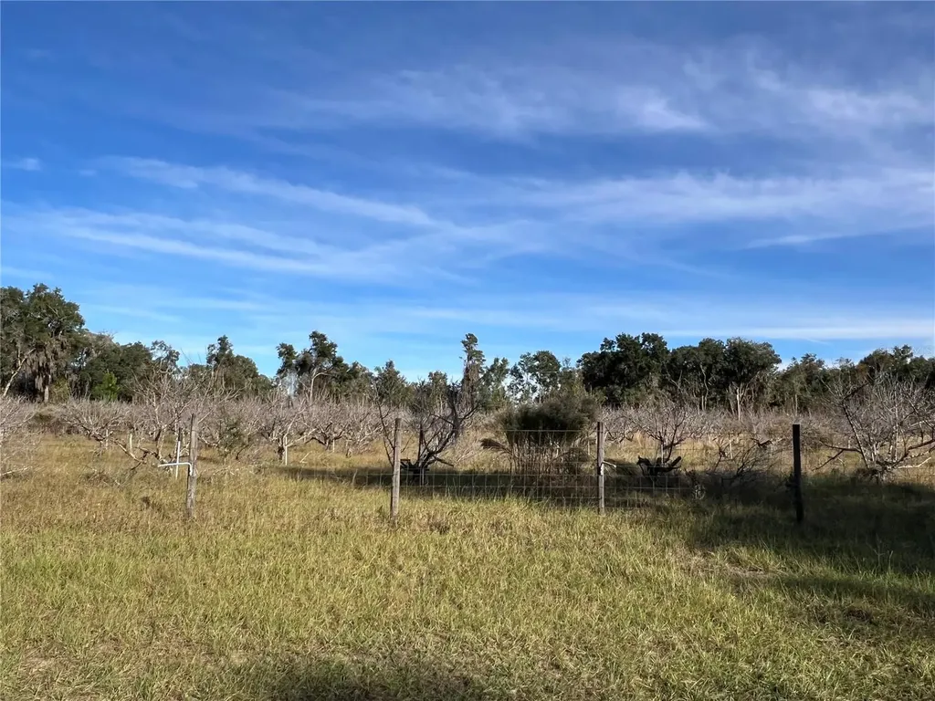 18250 Ravenswood Road Altoona FL 32702