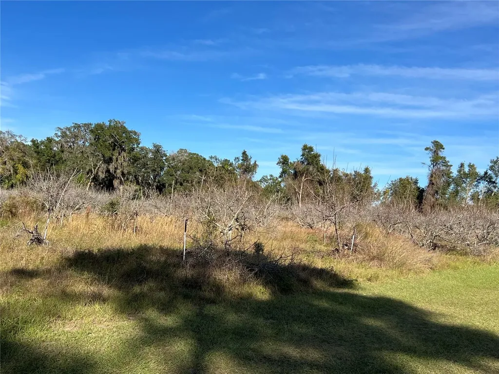 18250 Ravenswood Road Altoona FL 32702