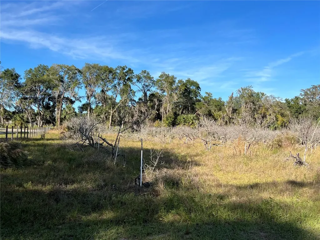 18250 Ravenswood Road Altoona FL 32702