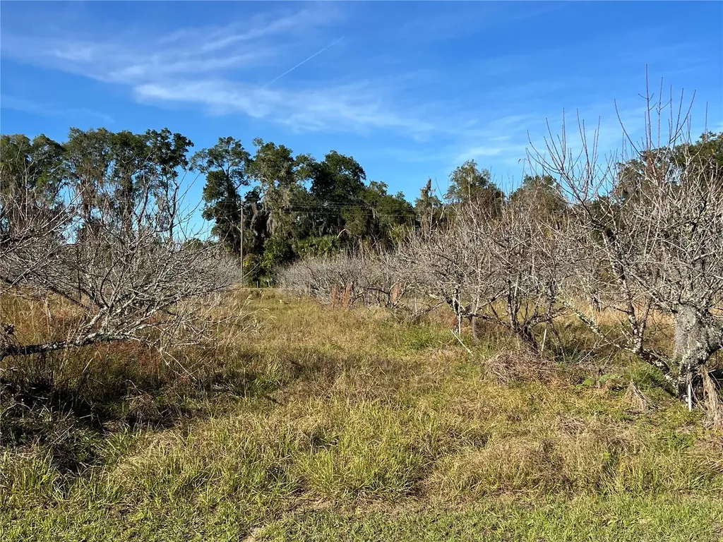 18250 Ravenswood Road Altoona FL 32702