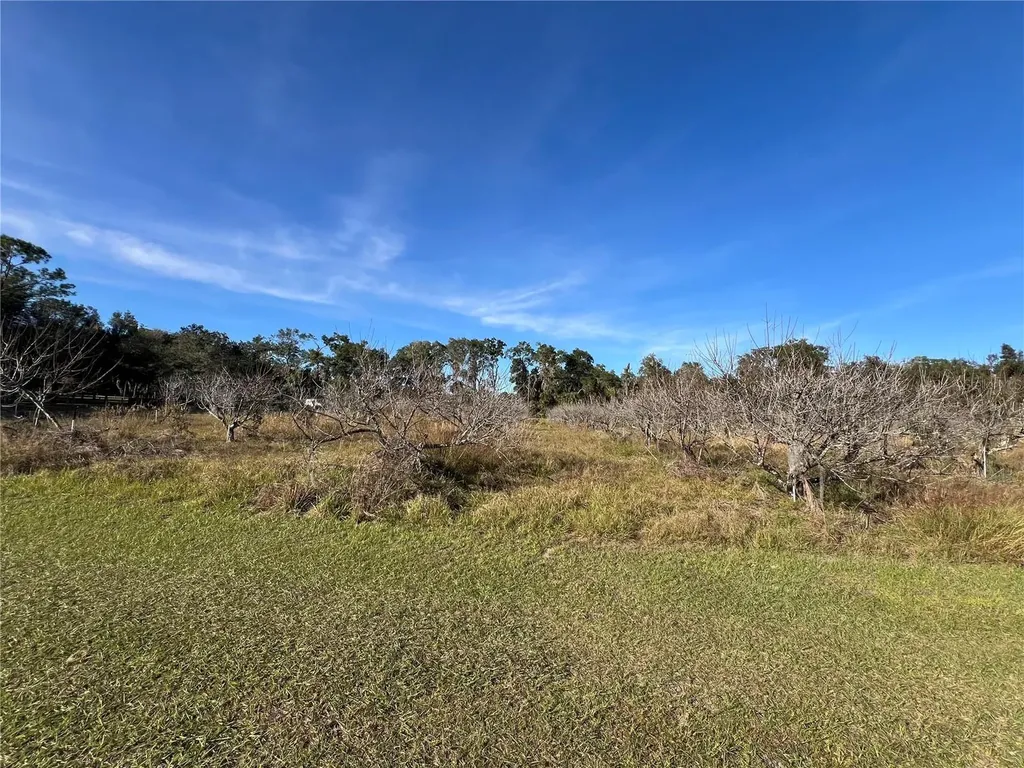 18250 Ravenswood Road Altoona FL 32702