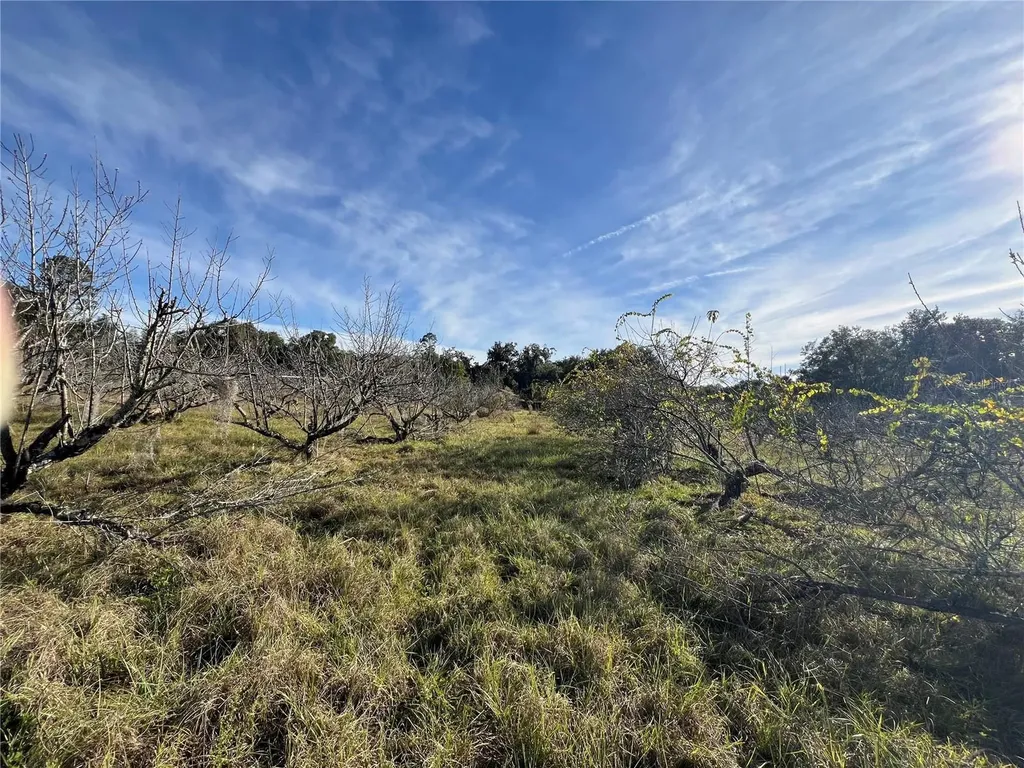 18250 Ravenswood Road Altoona FL 32702