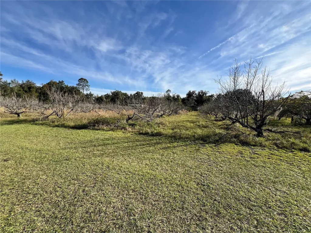18250 Ravenswood Road Altoona FL 32702
