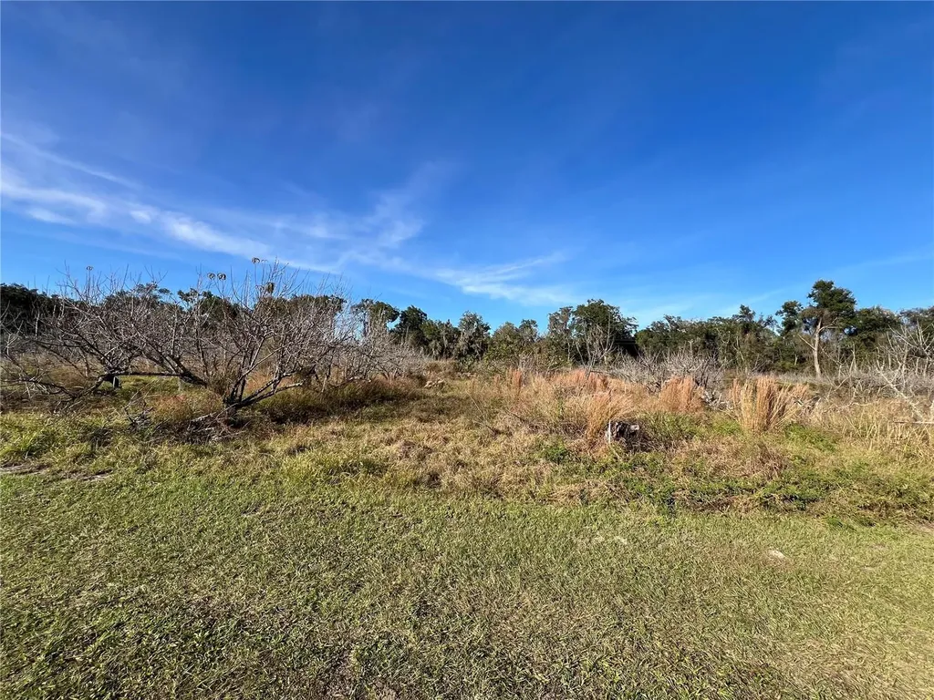 18250 Ravenswood Road Altoona FL 32702