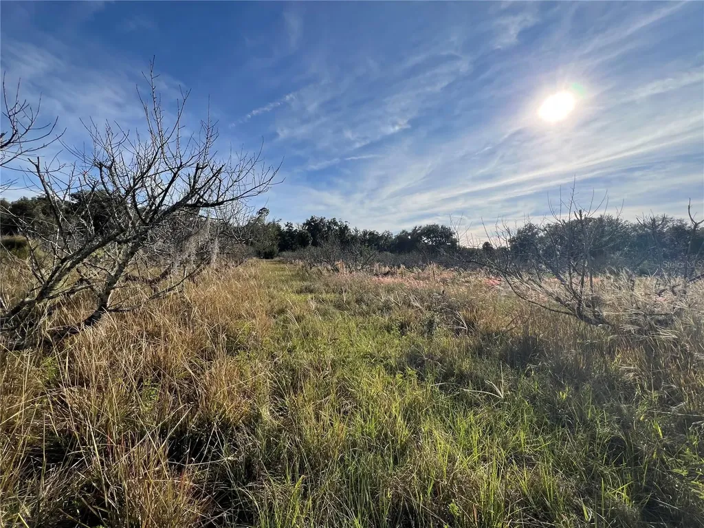 18250 Ravenswood Road Altoona FL 32702